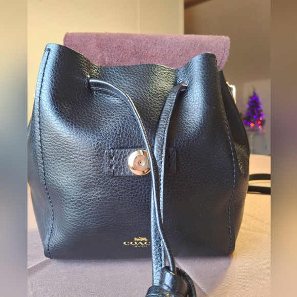 Coach F59819 Derby Mini Backpack - Picture 8 of 13